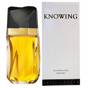 estee lauder knowing